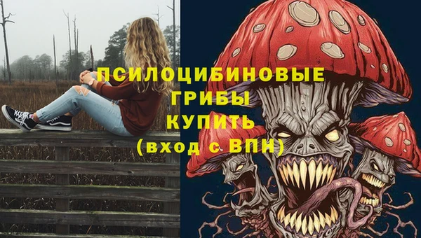 экстази Бородино