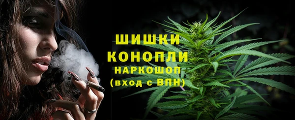 тгк Бронницы