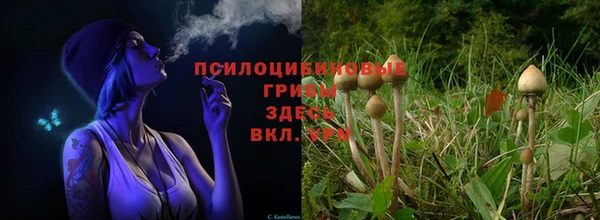 экстази Бородино