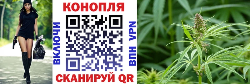 Бошки Шишки ГИДРОПОН Астрахань